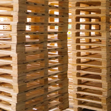 Tarimas y Empaque de Madera
